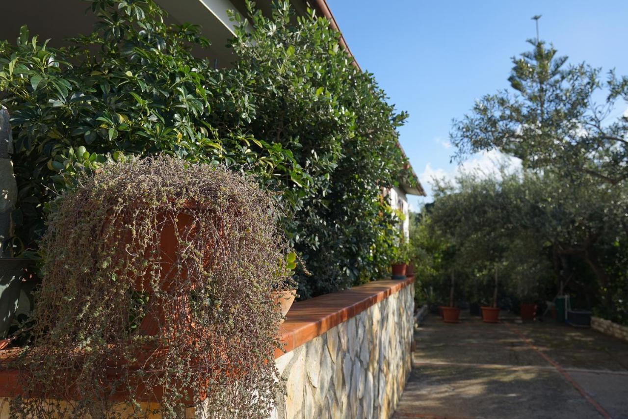 Villa Caterina Scopello Скопелло Экстерьер фото